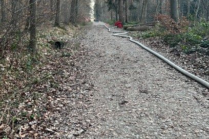 Neuhausen: Brand im Wald ruft mehrere Feuerwehren auf den Plan 