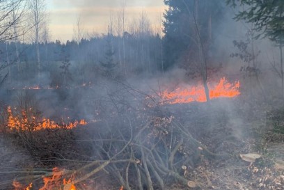 Gaeufden: Waldbrand im Schaeferwald