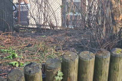 Stuttgart: Brand in Muellunterstand 