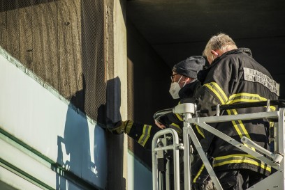 Sindelfingen: Erfolgreiche Taubenrettung 