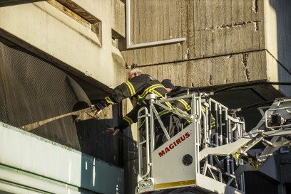 Sindelfingen: Erfolgreiche Taubenrettung 