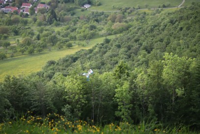 Erkenbrechtsweiler: Gleitschirmflieger stuerzt in Baum