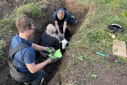 Sindelfingen: Feuerwehr rettet Schaf