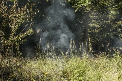 Leonberg-Warmbronn: Ziviler Hubschrauber entdeckt Rauchentwicklung im Wald