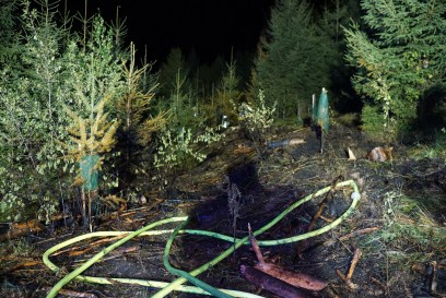 Rechberghausen: Waldbrand loest Grosseinsatz aus