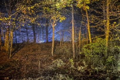 Sindelfingen: BMW kommt von der Strasse ab und landet mehrere Meter im Wald