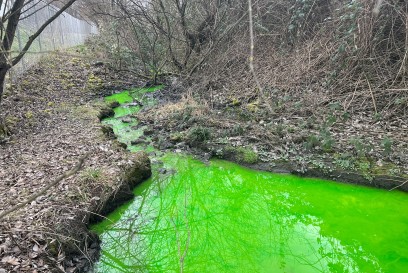 Stuttgart: Verfaerbtes Wasser im Seitenarm des Langwiesersees