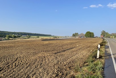 Hemmingen: Feuriger Elias loest Groesseren Feld Brand aus