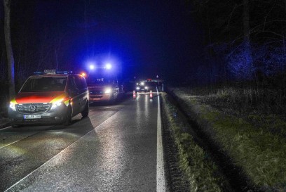 Hildrizhausen: 50-jaehrige Audi Fahrerin weicht Rehen aus und landet im Wald