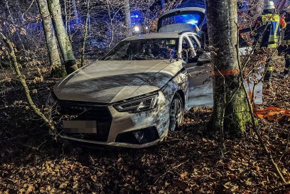 Hildrizhausen: 50-jaehrige Audi Fahrerin weicht Rehen aus und landet im Wald