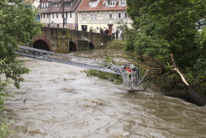 Weil der Stadt-Hausen: Baum muss auf Wuerm entfernt werden 