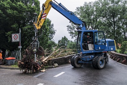Weil der Stadt-Hausen: Baum muss auf Wuerm entfernt werden 