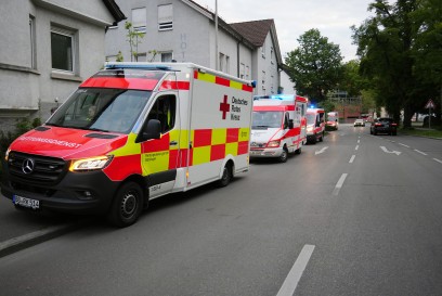 Sindelfingen: Grosse Hecke am Wohnhaus brennt voellig nieder