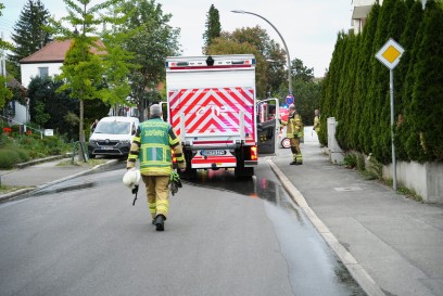 Sindelfingen: Grosse Hecke am Wohnhaus brennt voellig nieder