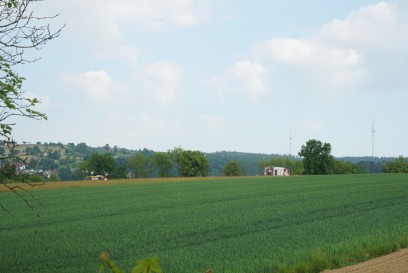 Ebersbach Fils: Feuerwehren ueben den Ernstfall - Waldbranduebung