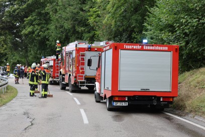 Gammelshausen: Elektroauto brennt komplett aus. L1217 gesperrt. 
