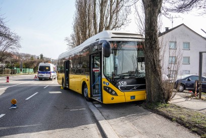 Sindelfingen: Linienbus knallt gegen Baum - eine Person verletzt