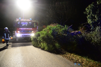 Weilheim: Baum auf Strasse