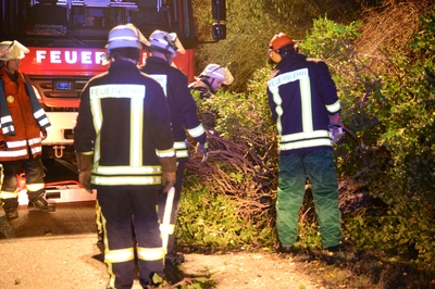 Weilheim: Baum auf Strasse