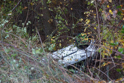 Baltmannsweiler: PKW kommt von Fahbahn ab und landet im Graben